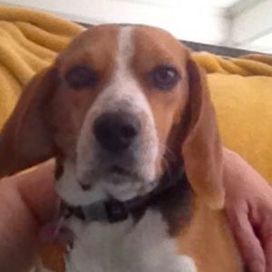 Meet your Posher, Elaine